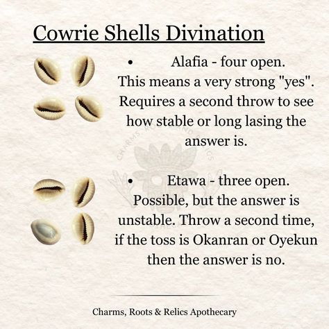 Cowrie shells are quite popular in African cultures as they were one of the earliest forms of currency used by traders up until the 20th century. The Ghanaian currency, Cedi, is named after the cowrie. These timeless and history rich elements have been used by diviners to tap into the ancient knowledge of the ancestors and the Orishas. They are also added to Gris Gris bags to help attract prosperity, wealth and fertility. Note that the divination system shown here is Obi divination and it's... Cowrie Shell Divination, Cowrie Divination, Ifa Divination, African Ancestors, Potion Recipes, Yes No Questions, Potions Recipes, Witch Spirituality, African Traditions