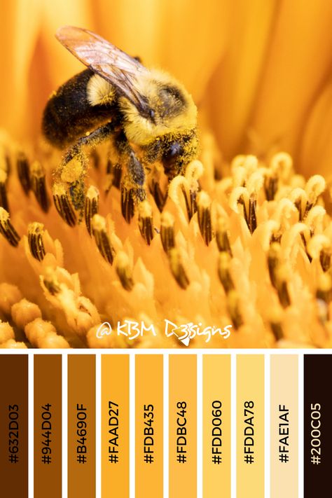 Honeybee Color Palette, Bold Yellow Color Palette, Bumble Bee Color Palette, Honey Bee Color Palette, Bee Colour Palette, Honey Colour Palette, Bee Color Pallete, Yellow And Black Color Palette, Black And Yellow Color Palette