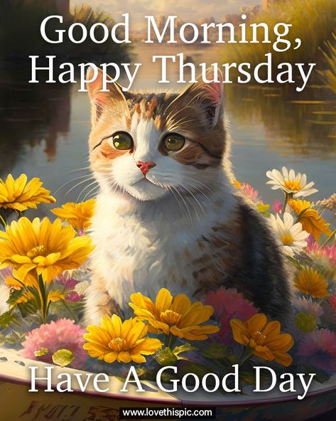 Good Morning Have A Good Day, Hello Kitty Good Morning, Good Morning Thursday Funny, Thrilling Thursday, Thursday Morning Images, Happy Thursday Pictures, Good Morning Dog, Happy Thursday Morning, Thursday Pictures