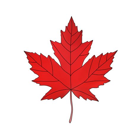 Maple Leaf Sticker, Leaf Sticker, Unique Small Tattoo, Red Maple Leaf, Canadian Maple Leaf, Small Flags, Red Maple, Canadian Maple, Canada Day