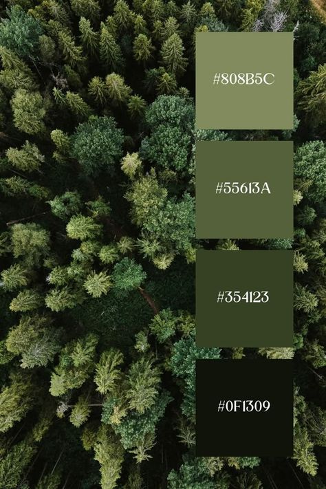 Green Palettes Colour Schemes, Shades Of Forest Green, Shades Of Green Palette Wedding, Deep Green Wedding Decor, Pretty Shades Of Green, Forest Green Pallet, Rainforest Color Palette, Forest Green Color Scheme, Forest Green Palette