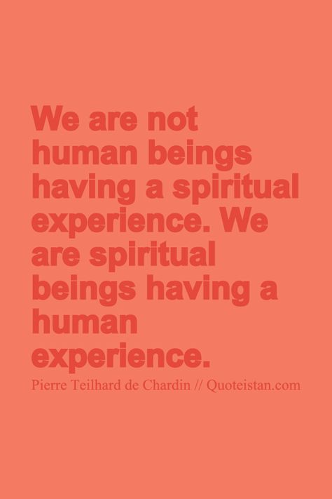 Spiritual Beings Having A Human, Experience Quotes, Not Human, Church Quotes, Manifestation Board, Spiritual Experience, Best Photo, Photo Quotes, Human Experience