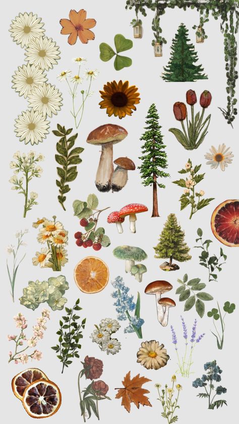 #nature #vibes #wallpaper #aesthetic #flowers #plants #mushrooms Cottagecore Aesthetic Wallpaper Iphone, Cottagecore Aesthetic Wallpaper, Mushroom Background, Cottagecore Wallpaper, Mushroom Wallpaper, Nature Vibes, Vibes Wallpaper, Pretty Backgrounds, Aesthetic Flowers