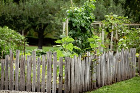 Want that natural fence.  Maybe pointed pickets or this fence of many size pickets.  I think I really like this one.  How primitive. Cheap Garden Fencing, Small Garden Fence, Rustic Garden Fence, Ideas For Dogs, Diy Garden Fence, Fence Plants, Garden Fence Panels, Rustic Fence, Natural Fence