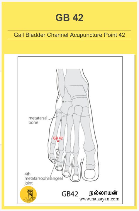 GB 42 Acupuncture Point Gall Bladder Meridian Points, Acupuncture Point, Meridian Points, Gall Bladder, Reflexology Massage, Foot Reflexology, Massage Benefits, Acupuncture Points, Acupressure Points