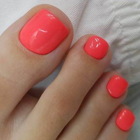 Toe Nail Colors, Pedicure Colors, Gel Toe Nails, Toe Nail Color, Pedicure Ideas, Pretty Toe Nails, Summer Toe Nails, Cute Toe Nails, Pedicure Designs