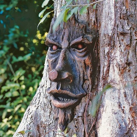 The Design Toscano The Spirit of Nottingham Greenman Tree Statue. Designed by well known British artist Liam Manchester, this statue looks like a face and can be placed on a tree to make it look as if it is possessed. Made using high-quality resin, The Spirit of Nottingham Greenman Tree Statue from Design Toscano is skillfully carved. It is sturdy and will last for a long time. It is neatly hand painted in a stunning brown finish that can complement the decor in your garden or patio. This ... Tree Statues, Tree People, Outdoor Trees, Wood Wall Sculpture, Tree Faces, Tree Spirit, Resin Sculpture, Garden Statue, Tree Sculpture