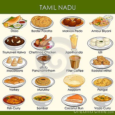 Maharashtra Food, India Illustration, Dish Collection, Traditional Indian Food, Food Map, Food Doodles, State Foods, Food Infographic, Cooking Dishes