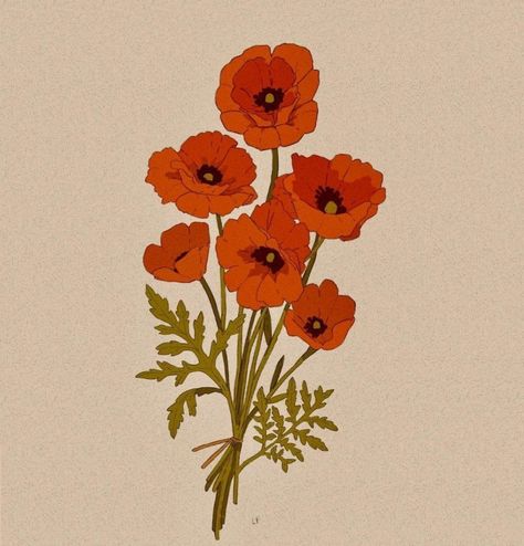 Poppy Bouquet, Poppy Drawing, 캐릭터 드로잉, Illustration Vintage, Flower Illustration, Poppy Flower, Red Poppies, Botanical Illustration, Flower Drawing