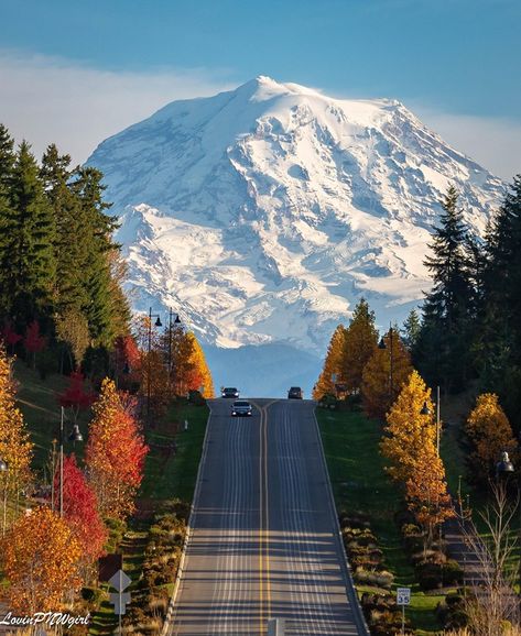 October view of Mt. Rainier in Washington State.  Photo: Aimee Lou KOMO News Pnw Aesthetic, Herbst Bucket List, Mount Rainier National Park, Mt Rainier, Rainier National Park, Mountain Life, Lets Go, Pretty Places, Travel Aesthetic