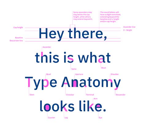 Typography design 101: a guide to rules and terms - 99designs Typography Anatomy, Professional Typography, Typography Rules, Type Anatomy, Create Font, Minimal Font, Business Fonts, Poster Fonts, Design 101