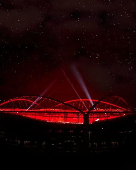 Benfica Wallpaper, Iphone Wallpaper Themes, Arsenal, Sports Team, Love Of My Life, Iphone Wallpaper, Instagram, Arsenal Fc