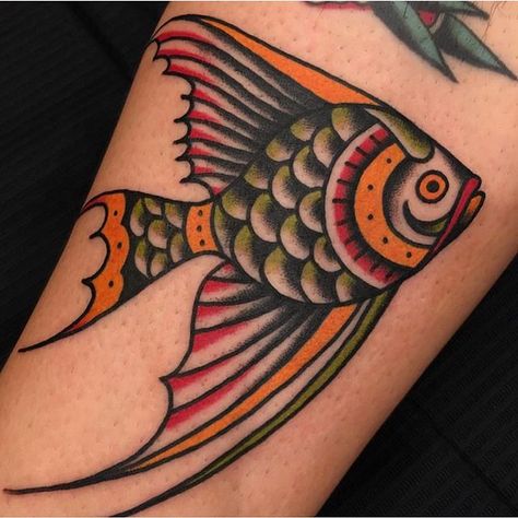 Tropical fish by @cionka_tattoo #boldwillholdfirenze #tattooshop #florence #traditionaltattoo #traditionalartist #radtrad #fishtattoo #tropicalfish #tattooinspiration #boldwillhold #respecttradition Traditional Fish Tattoo, Koi Tattoo Sleeve, Nature Tattoo Sleeve, Buddha Tattoos, Traditional Sleeve, Old School Tattoo Designs, Fish Tattoo, Sleeve Ideas, Traditional Tattoo Design