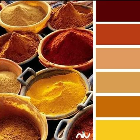 Spice Colour Palette, Indian Colors Palette, Indian Food Color Palette, South Asian Color Palette, Arabian Color Palette, Arabic Color Palette, Spices Color Palette, Indian Color Palette, African Color Palette