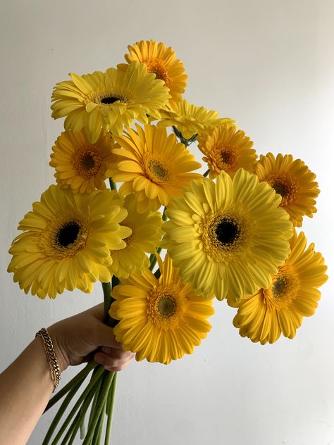 Gerbera Daisies, Yellow Daisy, Gerber Daisy, Yellow Flower Bouquet, Daisy Yellow, Yellow Flowers Aesthetic, Gerbera Bouquet Aesthetic, Gerba Daisy, Yellow Daisy Bouquet