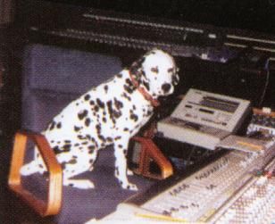 Bradley Nowell, Lou Dog, Sublime Band, House On Stilts, The Power Of Music, Aesthetic Indie, Rock Punk, Dog Runs, Random Thoughts