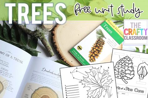 A Year of Free and Fascinating Unit Studies - The Crafty Classroom Tree Unit Study, Free Trees, Leaf Rubbing, Tree Unit, Homeschool Coop, Horticulture Therapy, Creation Coloring Pages, Educational Math Games, Fall Science