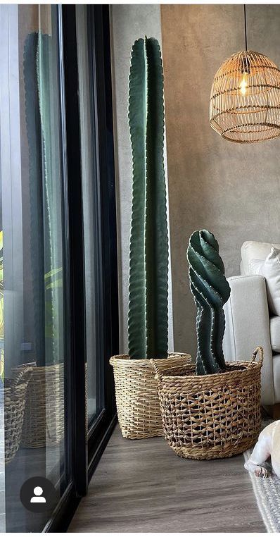 Boho Style House Decor, Giant Cactus Indoor, Cactus Indoor Decor, Cactus Plants Indoor Decor Ideas, Cactus Inside House, Big Cactus Indoor, Cactus In Pots Outdoor, Cactus Interior Design, Indoor Cactus Plants