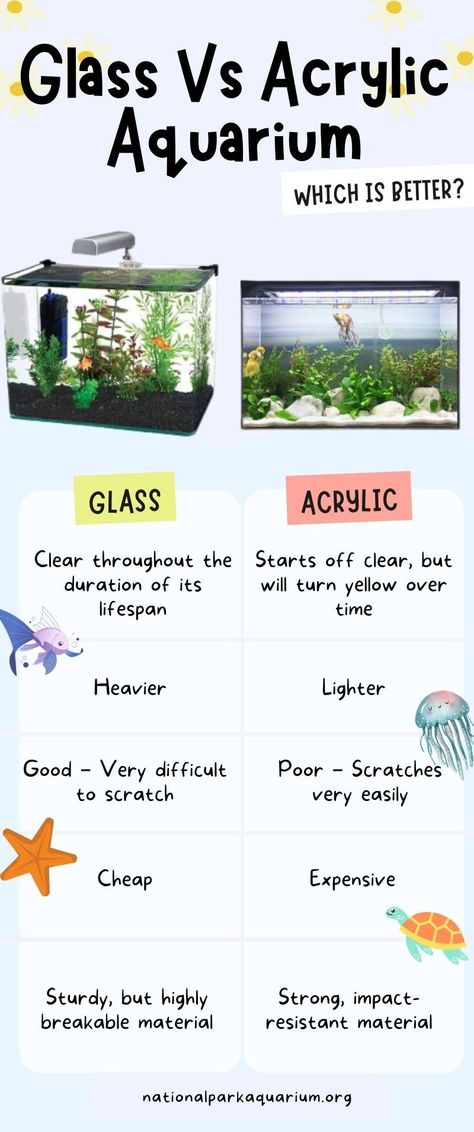 Glass Vs Acrylic Aquarium - Infographic Acrylic Aquarium, Betta Tank, Aquariums, Glass