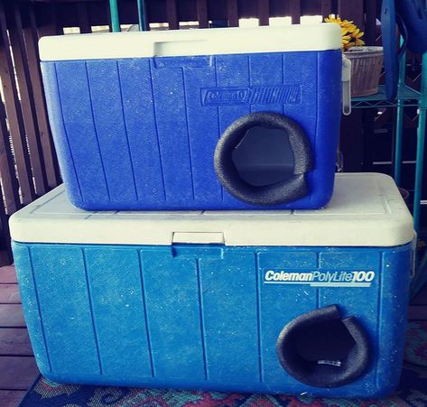 Cat Shelters For Winter, Insulated Cat House, Outside Cat House, Outdoor Cat Shelter, Feral Cat Shelter, Feral Cat House, Diy Cooler, Stray Animals, Cat House Diy