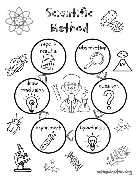 Scientific Method Coloring Sheet Scientific Method Grade 1, Science Innovation Ideas, Biology Scientist, The Scientific Method, Chemistry Coloring Pages, Biology Coloring Pages, Science Coloring Pages Free Printable, Science Coloring Pages, 3rd Grade Science Projects