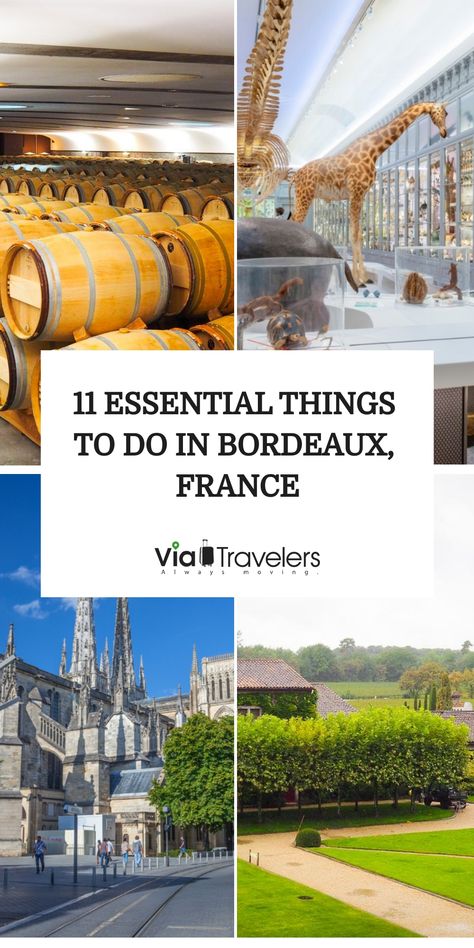 11 essential things to do in Bordeaux, France shown by wine barrels, museum exhibits, a cathedral, and a garden. Bordeaux France Travel, Outdoor Adventure Gear, Bordeaux France, Minimalist Travel, Perfect Itinerary, Family Friendly Activities, Wine Region, Photography Camera, Culture Travel