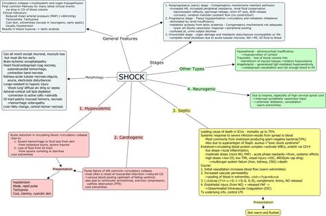 Shock Electrolytes Nursing, Stages Of Shock, Concept Map Nursing, Emt Study, Types Of Shock, Concept Maps, Nursing Fun, Nursing Cheat, Med Surg Nursing