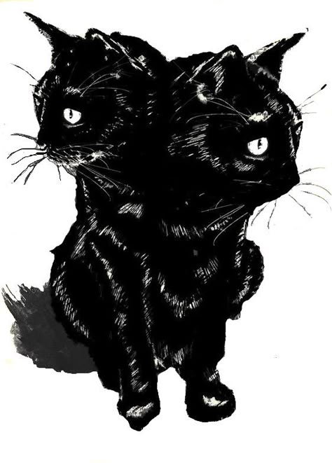 2 Headed Cat Drawing, Grunge Cat Drawing, Two Headed Cat Drawing, 2 Headed Cat Tattoo, 3 Headed Cat Tattoo, Double Headed Cat Tattoo, Something With Two Heads, 3 Headed Dog Drawing, Two Headed Cat Tattoo