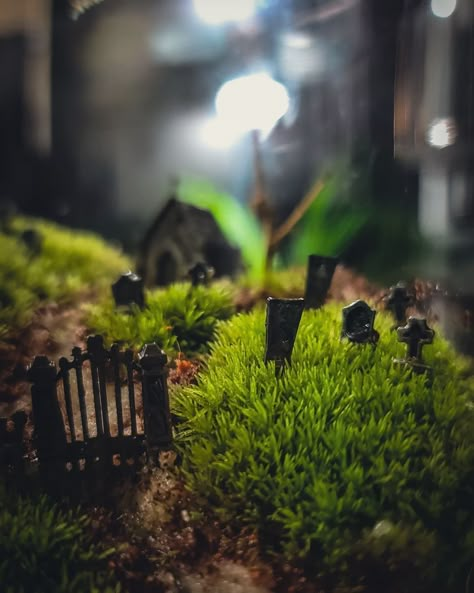 Learn how to make a graveyard mossarium with realistic Halloween terrarium decor and a few other simple materials. Diy Mini Graveyard Halloween, Mini Graveyard Terrarium, Cemetery Terrarium Graveyards, Diy Cemeterium, Goth Terrarium Ideas, Cemetarium Moss Terrarium, Halloween Plants Decor, Diy Mini Graveyard, Cemetary Terrarium Diy