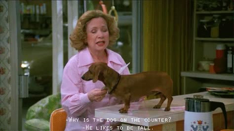 Don't we all, don't we all... 70s Show Quotes, Kitty Forman, That 70s Show Quotes, Short People Problems, Eric Forman, Show Quotes, Grumpy Man, 70s Show, 70 Show