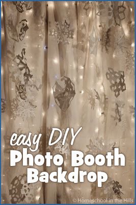 Winter Photo Booth Winter Photo Booth, Curtains Lights, Snowflake Backdrop, Winter Backdrop, Blue Christmas Lights, Winter Dance, Winter Backdrops, Christmas Photo Booth, White Sheet