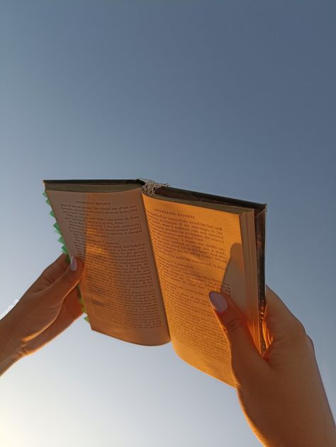 Two hands holding up at the sky a book that has almost turned golden from the rays of the setting sun that fall on it while only the light blue sky is seen in the background. The book is Charlotte Bronte's Wuthering heights. Golden Aesthetics, You're So Golden, Sun Aesthetic, Aesthetic Objects, Golden Hour Photos, Golden Hour Photography, Orange Aesthetic, Yellow Aesthetic, High Fantasy