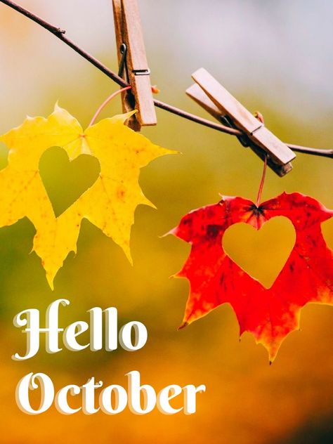 Happy October Wallpaper, Hello October Images, October Images, New Month Quotes, October Wallpaper, Seasons Months, Hello October, Happy October, October Birthday