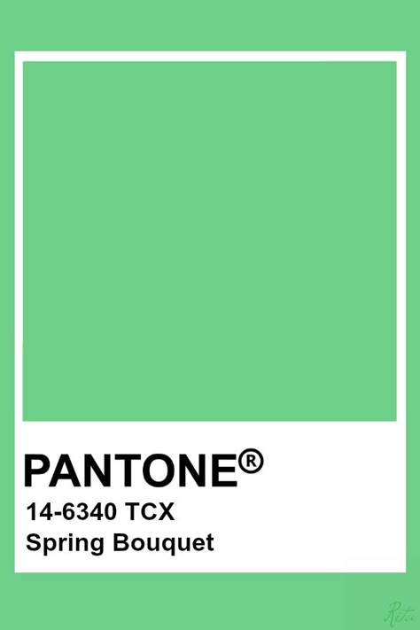 Pantone Spring Bouquet Tcx Pantone, Green Color Names, Spring Pantone, Pantone Tcx, Pantone Green, Pantone Color Chart, Pantone Swatches, Green Png, Pantone Colour Palettes