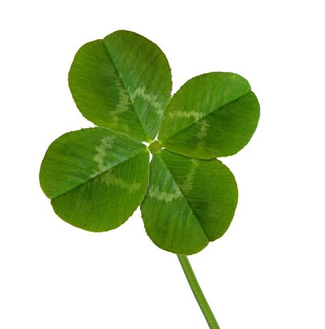 Google Image Result for http://www.punchbowl.com/gridfs/fs/4d55b3daec8d8318fd000034-1297462236 St Patrick's Day Decorations, Irish Eyes, 4 Leaf Clover, 4 Leaves, Punch Bowls, Green Rooms, Four Leaves, Lucky Clover, Luck Of The Irish