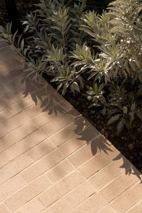 Paving Texture, Clay Pavers, Landscape Pavers, Permeable Paving, Outdoor Pavers, Minimalist Profile, Permeable Pavers, Paver Designs, Outdoor Paving