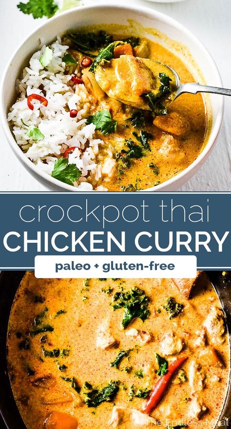 Crock Pot Thai Chicken Curry, Crock Pot Thai, Easiest Meals, Thai Chicken Curry, Kari Ayam, Pot Recipes Healthy, Meals To Make, Pot Recipes Easy, Crockpot Recipes Beef