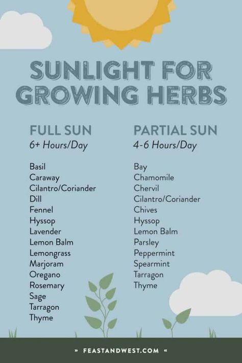 How To Start An Herb Garden Outside, Herb And Spice Garden, Vegetable Sunlight Chart, Must Have Herbs In Garden, Starting Herb Garden, Planting An Herb Garden Outside, Basic Herb Garden, Full Sun Herb Garden, Spices To Grow At Home