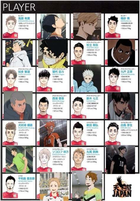 Haikyuu Number 2, Haikyuu Teams Names, 2nd Gen Captains Haikyuu, Haikyuu 2nd Gen Captains, Haikyuu Timeskip, Nohebi Haikyuu Team, Haikyuu Olympics Team, Haikyuu Japan National Team, Afro Samurai