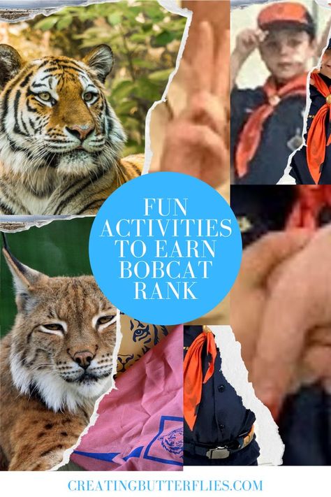 Bobcat Rank Games, Bobcat Badge Activities, Cub Scouts Bobcat Activities, Cub Scout Bobcat Activities, Tiger Scout Den Meeting Ideas, Tiger Cub Scouts Activities, Tiger Activities, Scout Meeting Ideas, Scouts Games