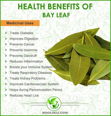 Bay Leaves Benefits, Bay Leaf Benefits, Bay Leaf Tea, Ayurvedic Healing, Respiratory Diseases, Bay Leaf, Cardiovascular System, Bay Leaves, Improve Digestion