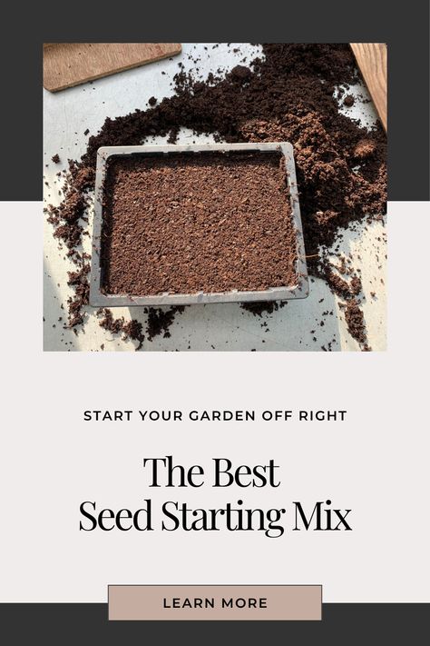 black seed tray with seed starting mix Seed Starting Mix Recipe, When To Plant Seeds, Seed Starting Soil, Seed Starters, Starting Seeds, Tomato Seedlings, Seed Starting Mix, Herb Gardening, Starting Seeds Indoors