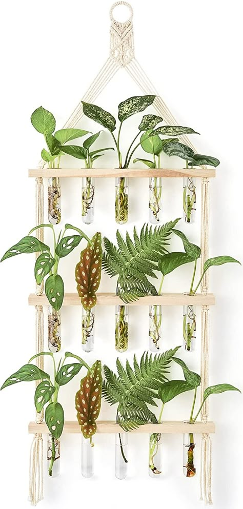 Hanging Glass Planters, Wall Plant Holder, Vase Plant, Hanging Plant Wall, Plant Terrarium, Hanging Plants Indoor, Paper Wall Hanging, Hydroponic Plants, Macrame Hanger