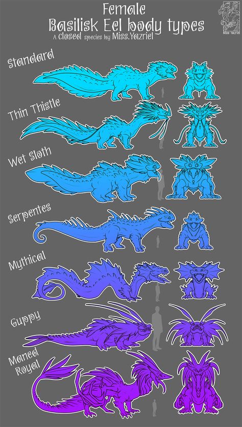 Dragon Species Guide, Closed Species Guide, Original Species Reference Sheet, Fantasy Species, Dragon Species, Open Species, Mythical Creature Design, Original Species, Species Guide