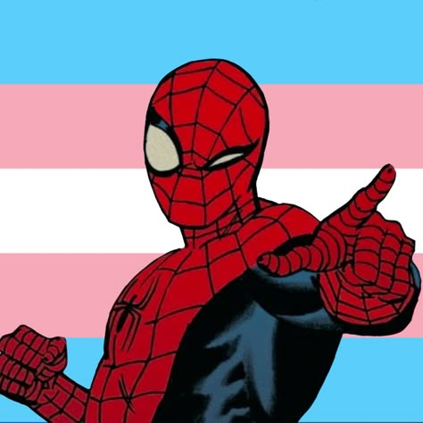 Spiderman Pride Icon, Pride Pfp Aesthetic, Rainbow Spiderman, Pfp Trans, Nonbinary Pfp, Pride Profile Picture, Pfp Spiderman, Nonbinary Art, Profiles Pictures