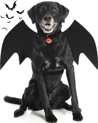 Dog Costume, OLANRUN Dog Halloween Costumes Large Breed, Pet Costumes for Dogs with Pumpkin Bell, Dog Bat Wings Halloween Cosplay Party Dress Up (Large) Pet Costumes For Dogs, Bat Wings Costume, Dog Lion Mane, Bat Dog, Bat Animal, Bat Costume, Dog Halloween Costumes, Dog Costumes, Dog Costume