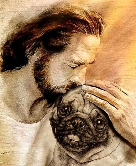 Pug Photos, Old Pug, Pug Art, Tattoos For Lovers, Black Pug, A Pug, Incubus, Pugs Funny, Cute Pugs