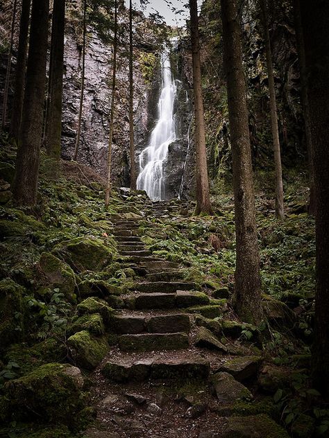 Hidden in the Forest by andywon - Burgbach Forest Stairs & Waterfall in the Black Forest, near in Bad Rippoldsau-Schapbach, Baden-Wurttemberg, DE. Black Forest Germany, Forest Waterfall, The Black Forest, Pretty Places, Germany Travel, Black Forest, Places Around The World, Albania, In The Woods