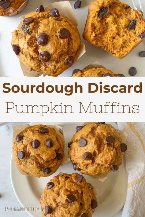 sourdough discard pumpkin muffins Sourdough Pumpkin Muffins, Sourdough Discard Pumpkin, Sourdough Pumpkin, Sourdough Discard Recipes, Pumpkin Banana Muffins, Sourdough Muffins, Gluten Free Pumpkin Muffins, Sourdough Starter Discard Recipe, Pumpkin Muffin Recipes