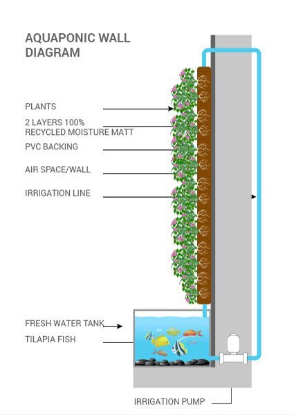 Living Walls Planters Canada | Vertical Oxygen Hydroponic Wall, Living Wall Planter, Kolam Koi, Taman Air, Vertical Garden Design, Vertical Vegetable Garden, Green Facade, Vertical Garden Wall, Vertical Herb Garden